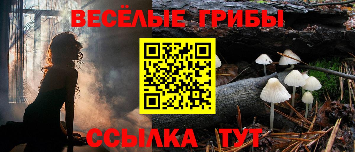 Галлюциногенные грибы Cubensis Красногорск
