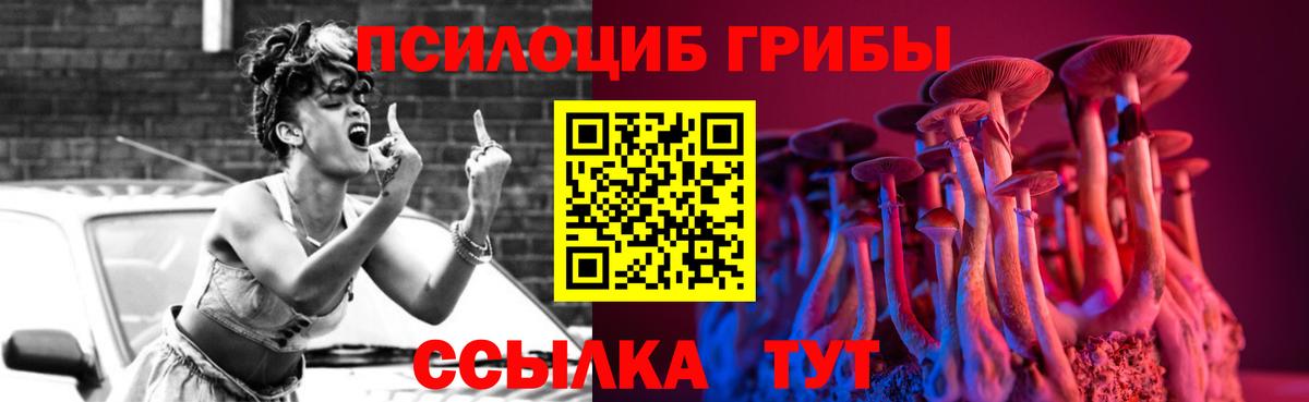 Псилоцибиновые грибы Cubensis  Вход с VPN  Красногорск 